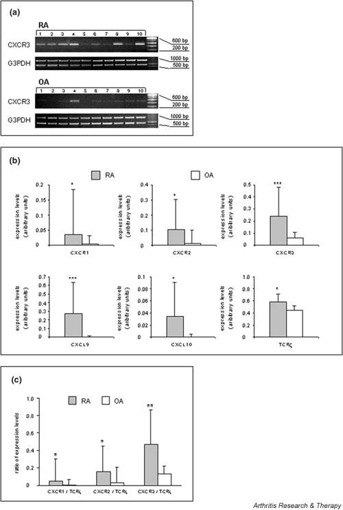 https://cdn.ncbi.nlm.nih.gov/pmc/blobs/2b10/193722/797ebb9eb873/ar783-2.jpg