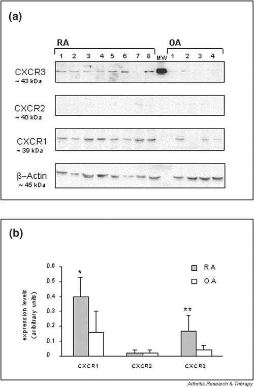 https://cdn.ncbi.nlm.nih.gov/pmc/blobs/2b10/193722/fc92651a7c24/ar783-3.jpg
