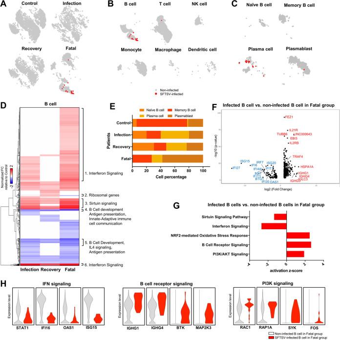 https://cdn.ncbi.nlm.nih.gov/pmc/blobs/2b10/8545090/9208d1bb3412/mbio.02583-20-f0004.jpg