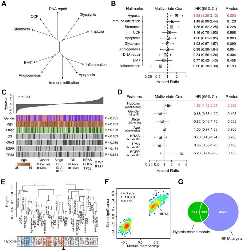 https://cdn.ncbi.nlm.nih.gov/pmc/blobs/2b14/7978303/38019f6a1200/thnov11p5061g002.jpg
