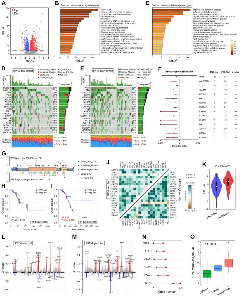 https://cdn.ncbi.nlm.nih.gov/pmc/blobs/2b14/7978303/506cff1fcf5a/thnov11p5061g007.jpg