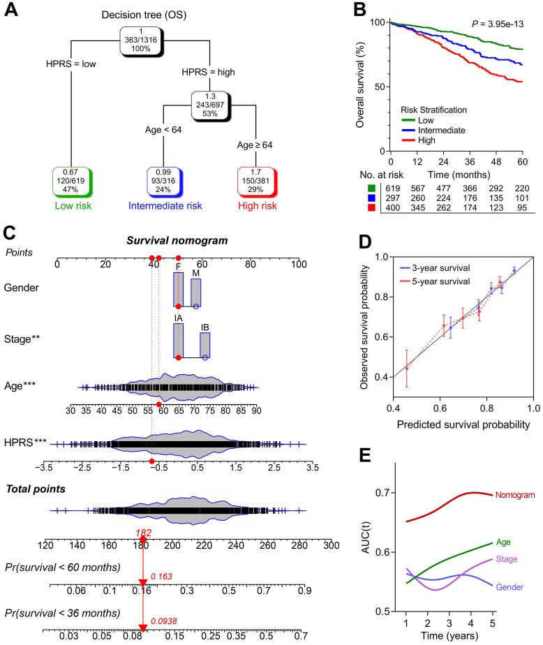 https://cdn.ncbi.nlm.nih.gov/pmc/blobs/2b14/7978303/80d0b6d7e858/thnov11p5061g006.jpg