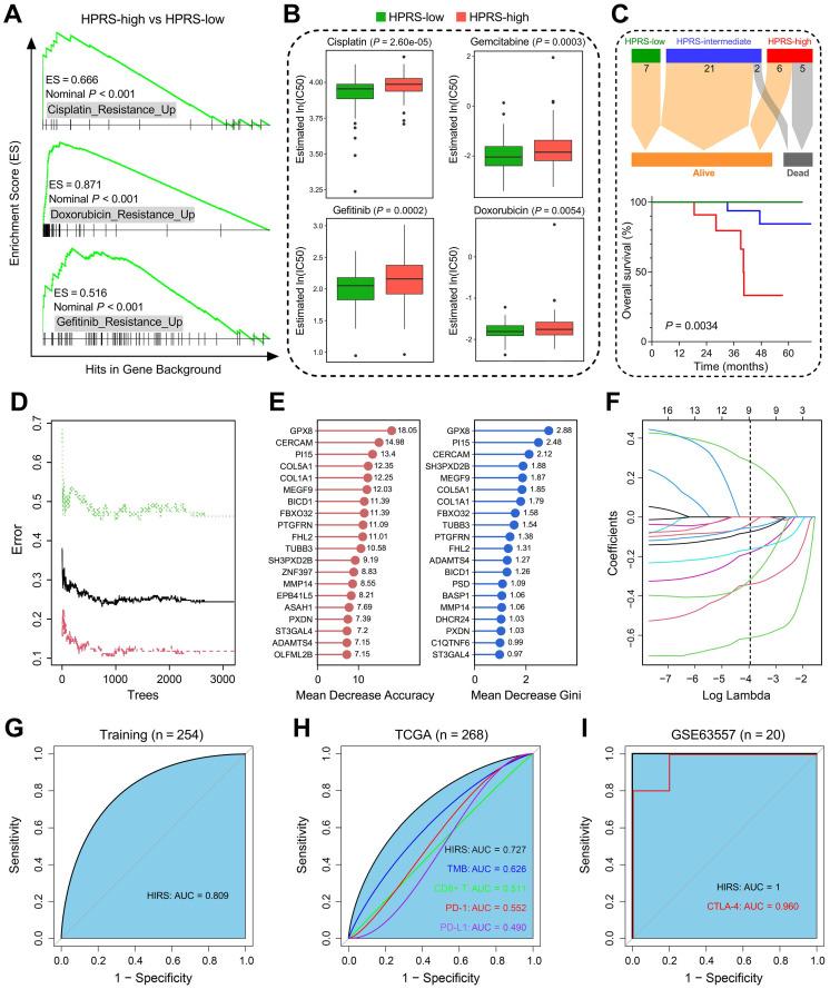 https://cdn.ncbi.nlm.nih.gov/pmc/blobs/2b14/7978303/c5665bb2f9df/thnov11p5061g008.jpg