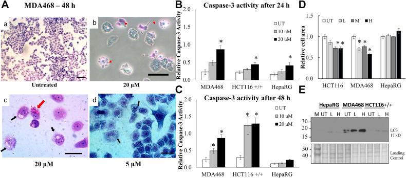 https://cdn.ncbi.nlm.nih.gov/pmc/blobs/2b14/9307946/ac442e508be7/gr7.jpg