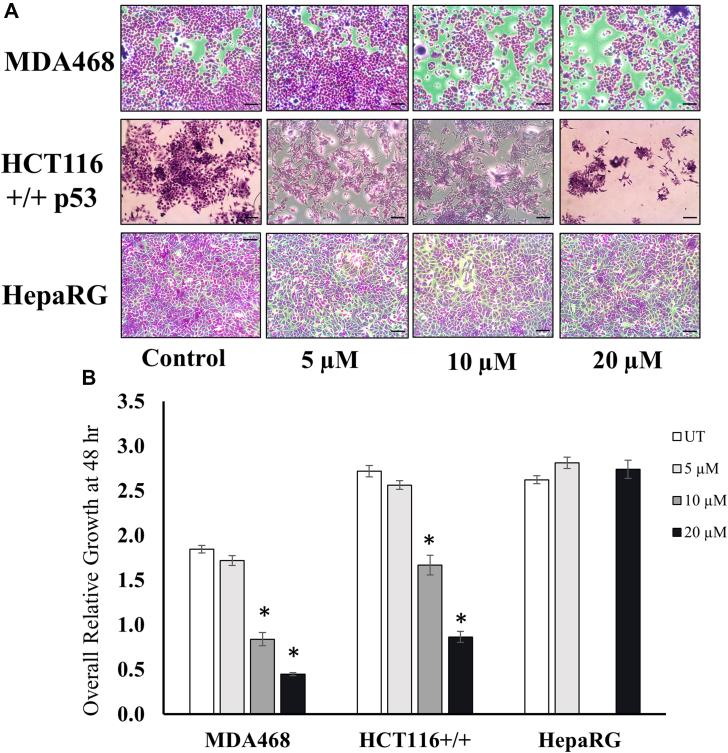 https://cdn.ncbi.nlm.nih.gov/pmc/blobs/2b14/9307946/c722ef7ee134/gr4.jpg