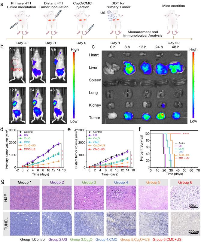 https://cdn.ncbi.nlm.nih.gov/pmc/blobs/2b16/11934600/9099488cd057/12951_2025_3334_Fig7_HTML.jpg