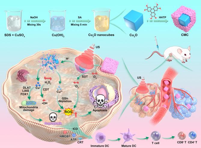https://cdn.ncbi.nlm.nih.gov/pmc/blobs/2b16/11934600/ec4849872d0d/12951_2025_3334_Sch1_HTML.jpg