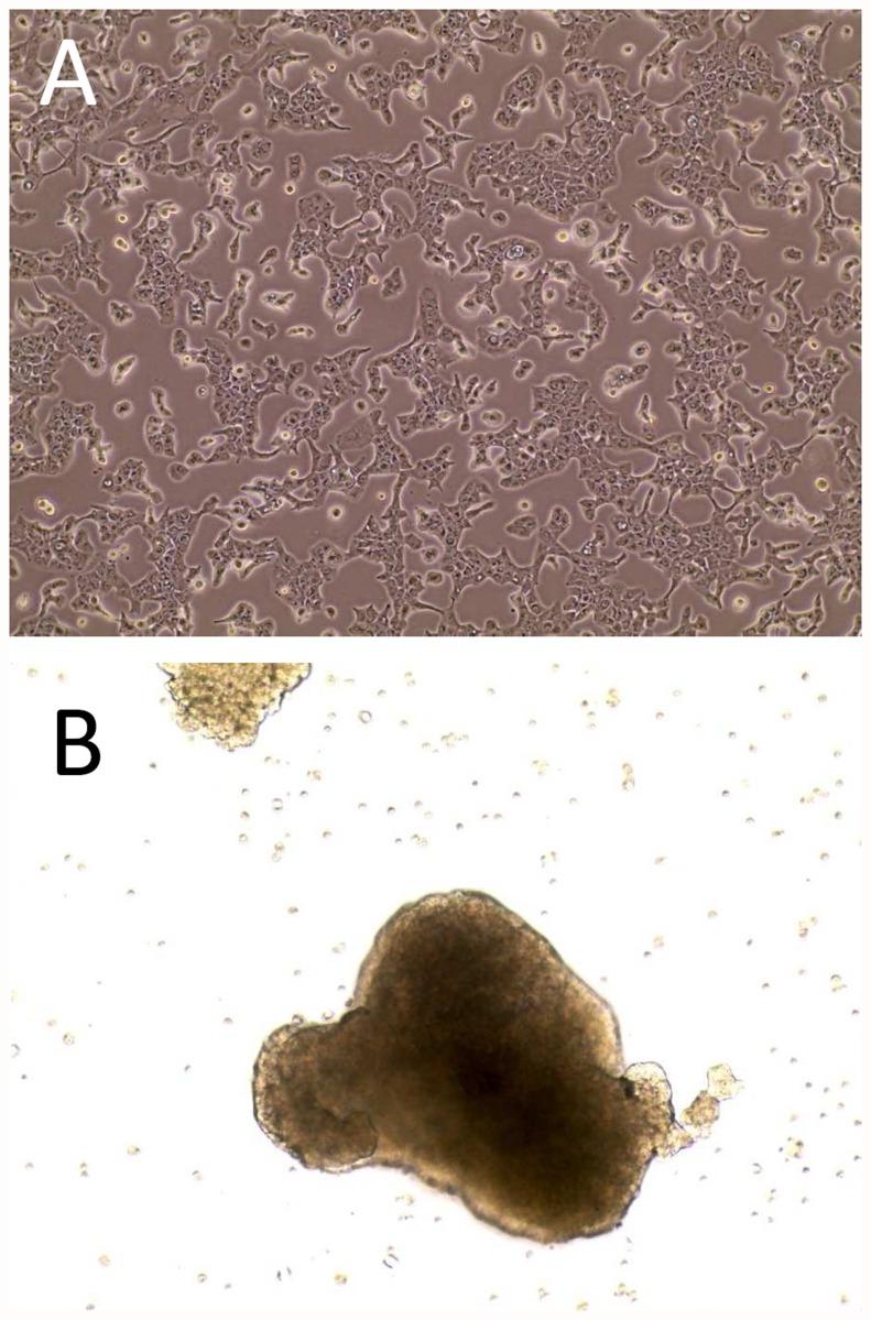 https://cdn.ncbi.nlm.nih.gov/pmc/blobs/2b16/4355290/fc2ef6593839/pone.0118906.g001.jpg