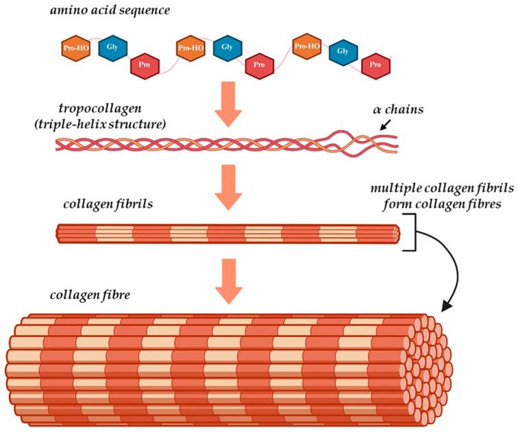 https://cdn.ncbi.nlm.nih.gov/pmc/blobs/2b17/12295635/5a9527ca0675/gels-11-00527-g004.jpg