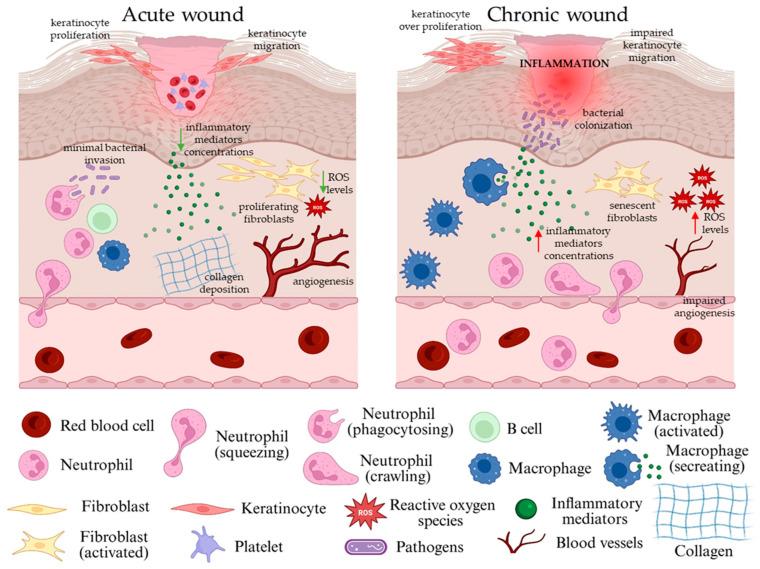 https://cdn.ncbi.nlm.nih.gov/pmc/blobs/2b17/12295635/e356f7f0590b/gels-11-00527-g003.jpg