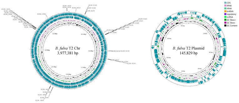 https://cdn.ncbi.nlm.nih.gov/pmc/blobs/2b18/9505733/d72f6a72a558/ijms-23-10856-g002.jpg