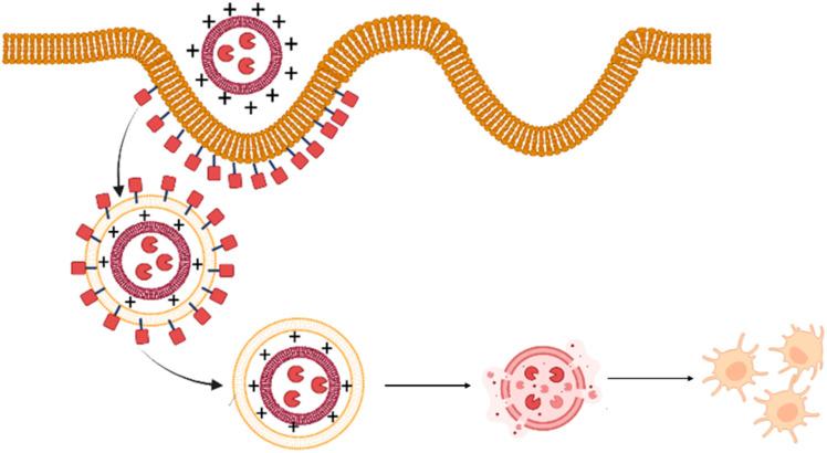 https://cdn.ncbi.nlm.nih.gov/pmc/blobs/2b19/10051624/293b152c5005/vaccines-11-00661-g009.jpg