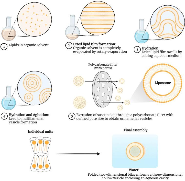 https://cdn.ncbi.nlm.nih.gov/pmc/blobs/2b19/10051624/6c53da5fae7d/vaccines-11-00661-g008.jpg