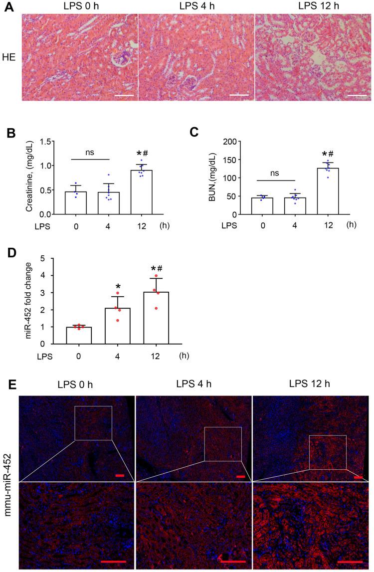 https://cdn.ncbi.nlm.nih.gov/pmc/blobs/2b1d/7667674/1988e4d823b6/thnov10p11963g001.jpg