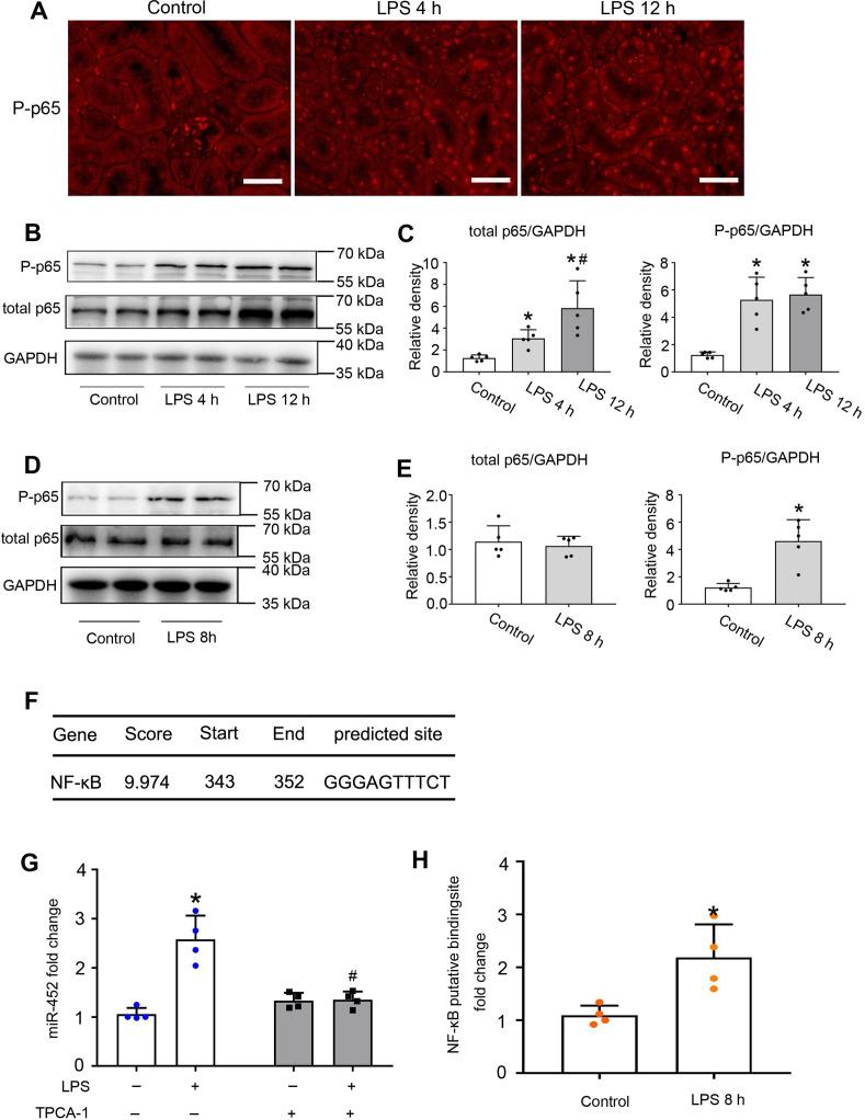https://cdn.ncbi.nlm.nih.gov/pmc/blobs/2b1d/7667674/1cf9ef00d78a/thnov10p11963g002.jpg