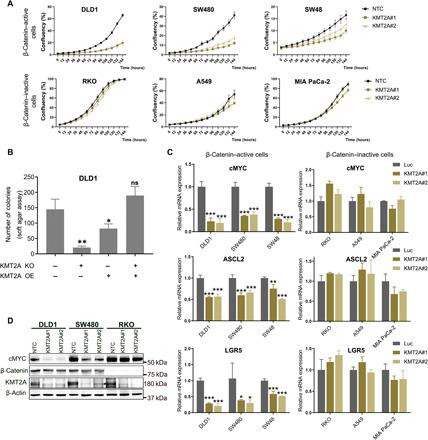 https://cdn.ncbi.nlm.nih.gov/pmc/blobs/2b1d/8133758/6bd89137e247/abf2567-F4.jpg