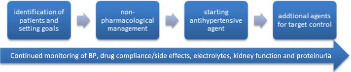 https://cdn.ncbi.nlm.nih.gov/pmc/blobs/2b1d/8722287/5aa97d763390/12882_2021_2587_Fig1_HTML.jpg