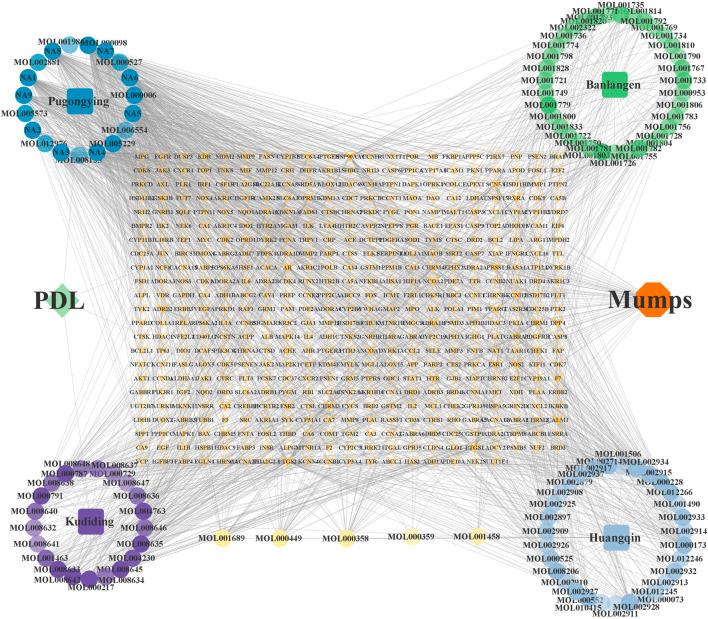 https://cdn.ncbi.nlm.nih.gov/pmc/blobs/2b1d/9537475/720068310c43/fphar-13-956219-g012.jpg