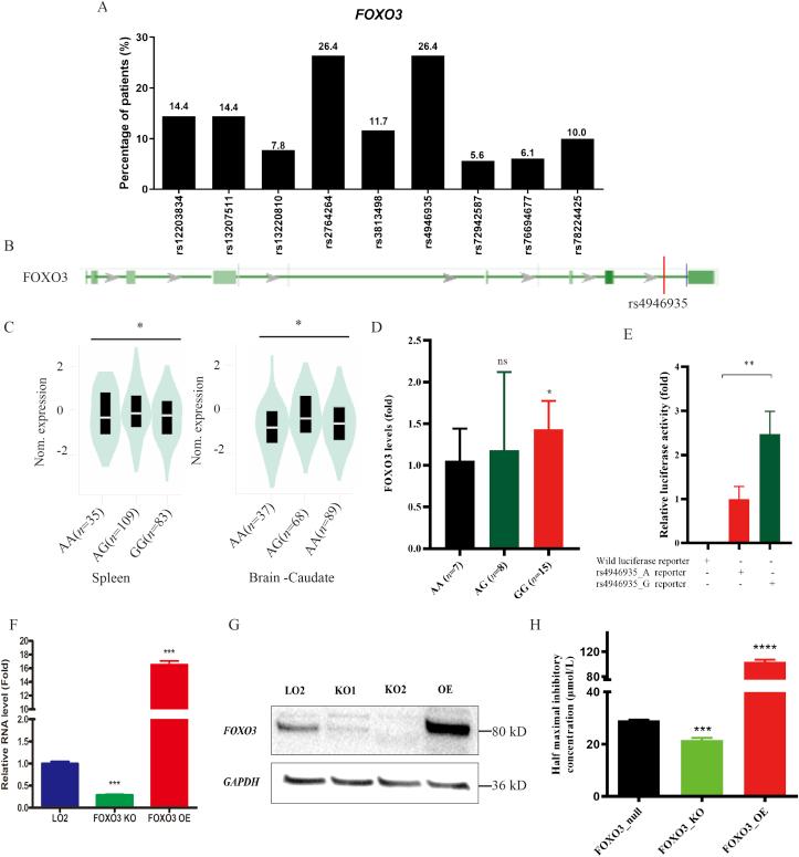 https://cdn.ncbi.nlm.nih.gov/pmc/blobs/2b1e/9513443/c12661f3db05/gr3.jpg