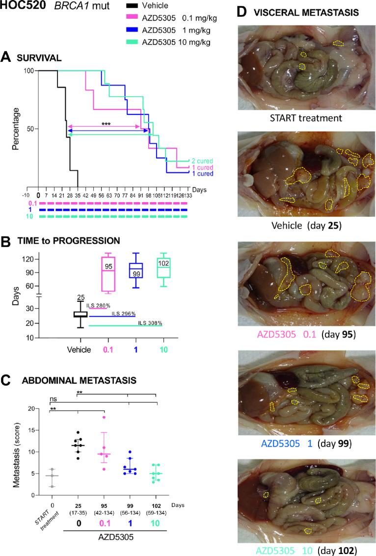 https://cdn.ncbi.nlm.nih.gov/pmc/blobs/2b1f/10042207/9c28f4d1ef18/crc-22-0423_fig2.jpg