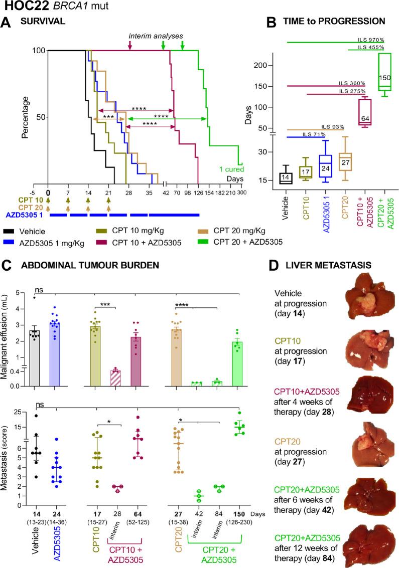 https://cdn.ncbi.nlm.nih.gov/pmc/blobs/2b1f/10042207/c038c99fdce0/crc-22-0423_fig5.jpg