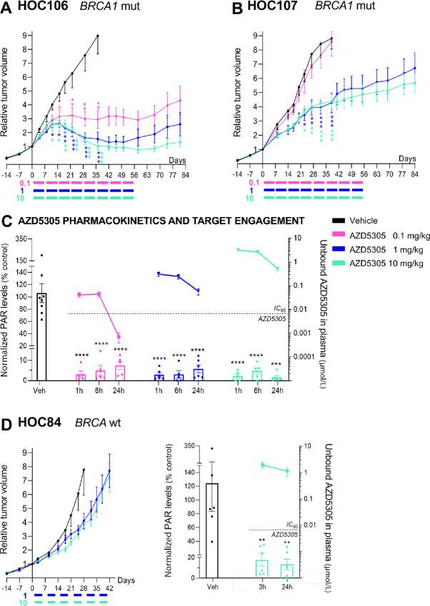 https://cdn.ncbi.nlm.nih.gov/pmc/blobs/2b1f/10042207/ddcead6e61dc/crc-22-0423_fig1.jpg