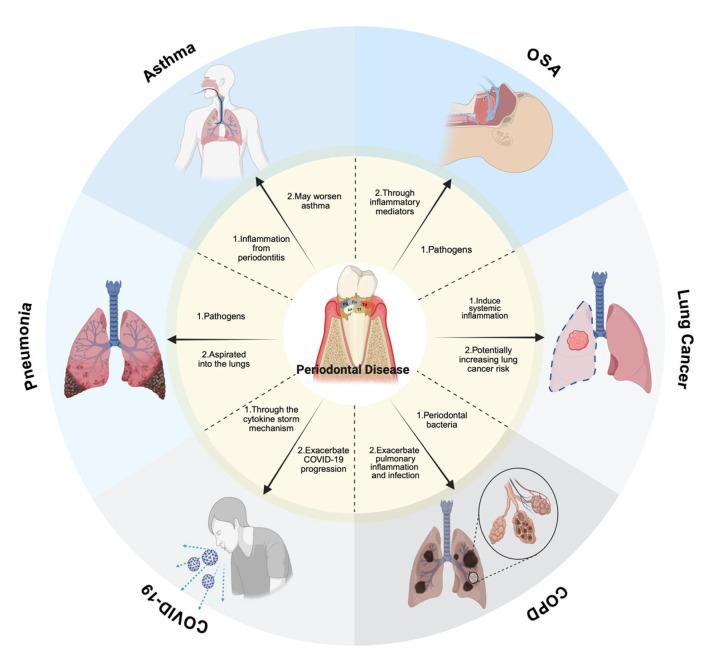 https://cdn.ncbi.nlm.nih.gov/pmc/blobs/2b22/12292392/903ef8181796/biomedicines-13-01741-g001.jpg