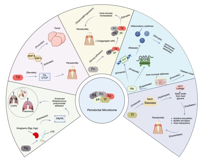 https://cdn.ncbi.nlm.nih.gov/pmc/blobs/2b22/12292392/a292871ffbaa/biomedicines-13-01741-g002.jpg