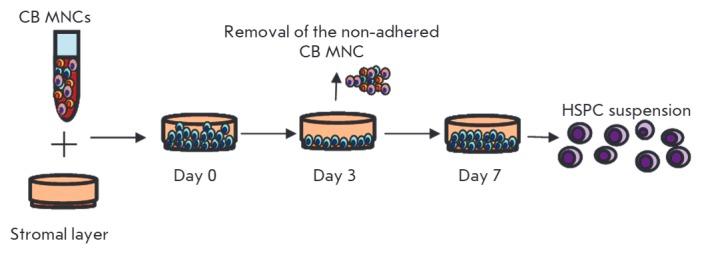 https://cdn.ncbi.nlm.nih.gov/pmc/blobs/2b23/5081707/28bf8cca0885/AN20758251-30-006-g003.jpg