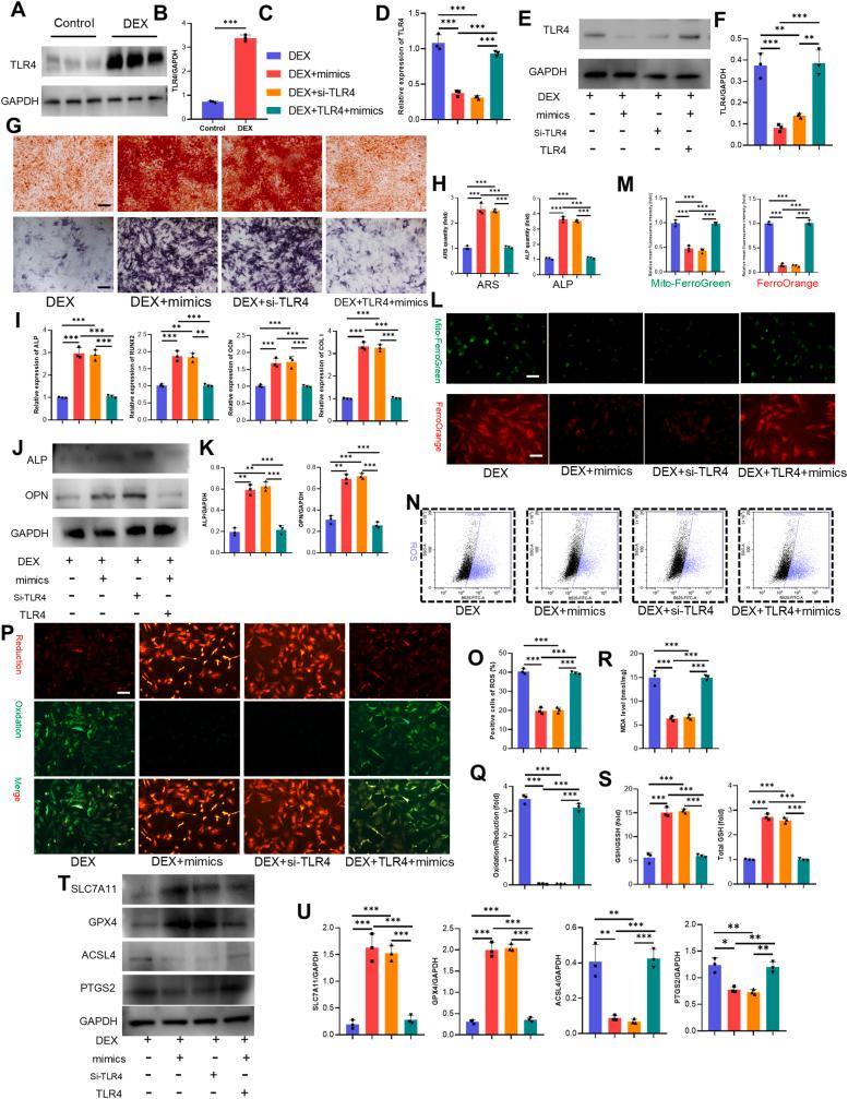 https://cdn.ncbi.nlm.nih.gov/pmc/blobs/2b24/12206324/1625a926d98a/gr9.jpg