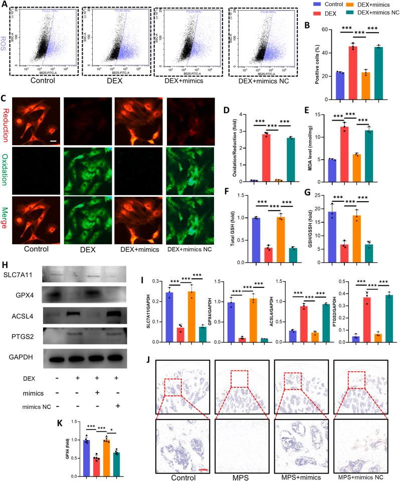 https://cdn.ncbi.nlm.nih.gov/pmc/blobs/2b24/12206324/55643617a50b/gr7.jpg
