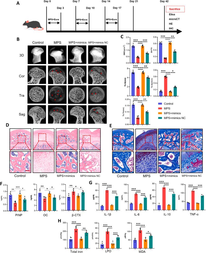 https://cdn.ncbi.nlm.nih.gov/pmc/blobs/2b24/12206324/88a1126a31eb/gr3.jpg