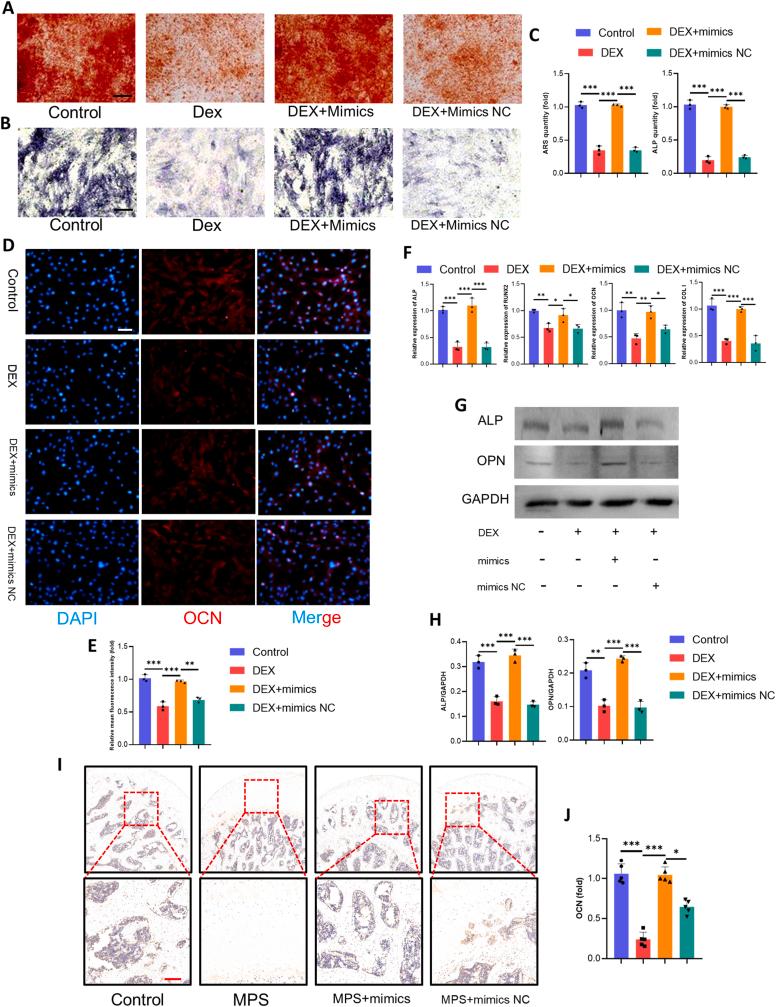 https://cdn.ncbi.nlm.nih.gov/pmc/blobs/2b24/12206324/cb04666dc8ab/gr5.jpg