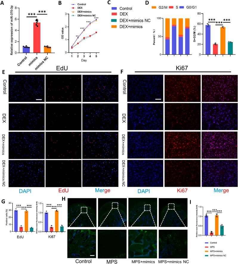 https://cdn.ncbi.nlm.nih.gov/pmc/blobs/2b24/12206324/f15158e71009/gr4.jpg