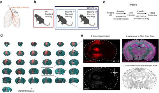 https://cdn.ncbi.nlm.nih.gov/pmc/blobs/2b24/12269803/3fe14be2ddb4/CNE-533-e70073-g007.jpg