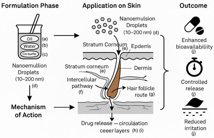 https://cdn.ncbi.nlm.nih.gov/pmc/blobs/2b27/12195946/8990c29a2c11/pharmaceutics-17-00746-g002.jpg