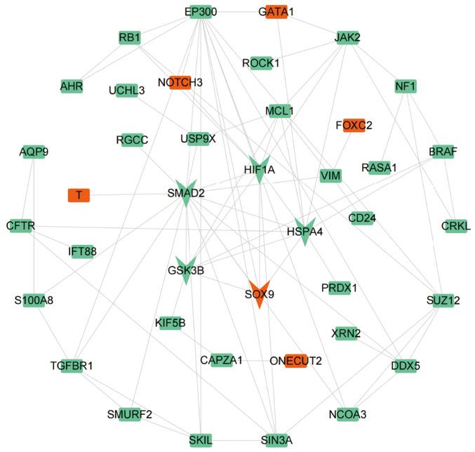 https://cdn.ncbi.nlm.nih.gov/pmc/blobs/2b28/10928817/5bc8421978b1/etm-27-04-12434-g03.jpg