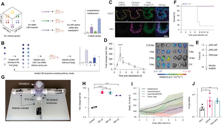 https://cdn.ncbi.nlm.nih.gov/pmc/blobs/2b28/12145032/ea28715091d8/gr9.jpg