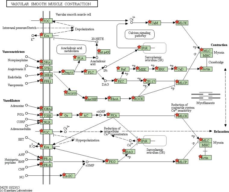 https://cdn.ncbi.nlm.nih.gov/pmc/blobs/2b28/5762286/ad5851db32cc/oncotarget-08-110811-g012.jpg