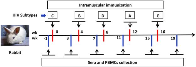 https://cdn.ncbi.nlm.nih.gov/pmc/blobs/2b28/5958130/7601ac0e36e2/41598_2018_25960_Fig2_HTML.jpg