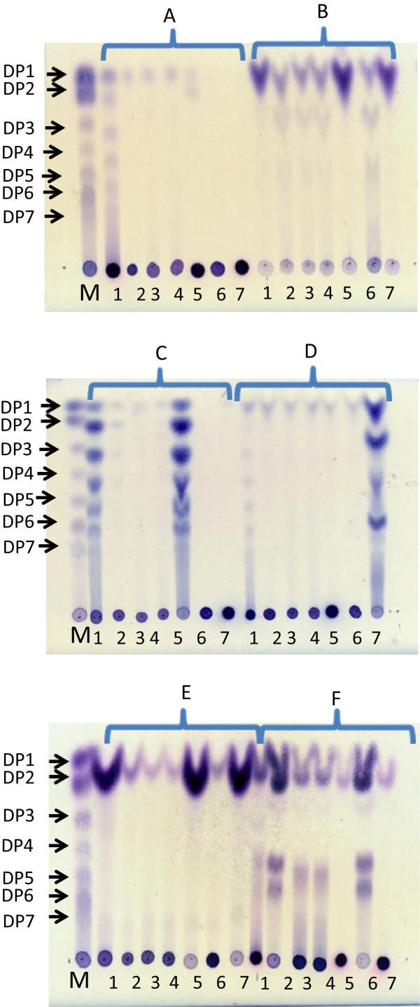 https://cdn.ncbi.nlm.nih.gov/pmc/blobs/2b2a/4194309/8346009a4a60/40064_2014_1285_Fig4_HTML.jpg
