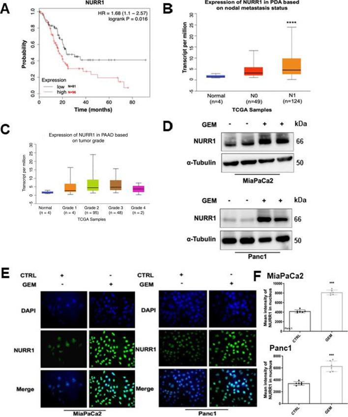 https://cdn.ncbi.nlm.nih.gov/pmc/blobs/2b2b/9973405/903e70eff1e0/crc-21-0073_fig1.jpg