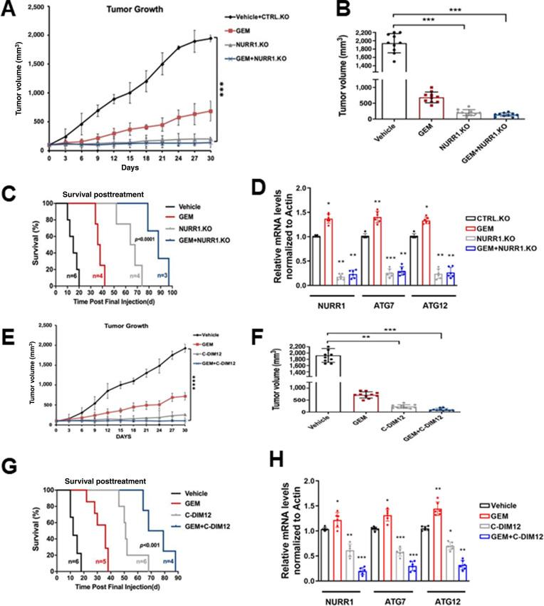 https://cdn.ncbi.nlm.nih.gov/pmc/blobs/2b2b/9973405/e93bb2359963/crc-21-0073_fig6.jpg