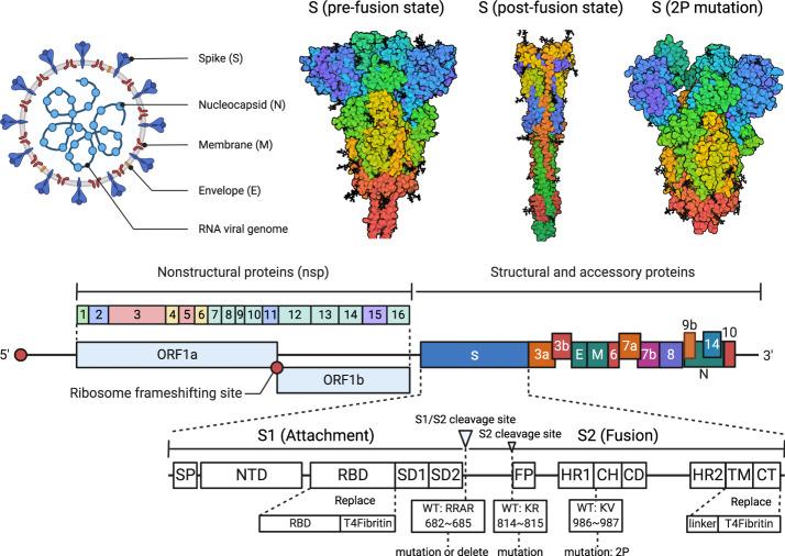 https://cdn.ncbi.nlm.nih.gov/pmc/blobs/2b2d/8943202/88813937ece8/41392_2022_950_Fig6_HTML.jpg
