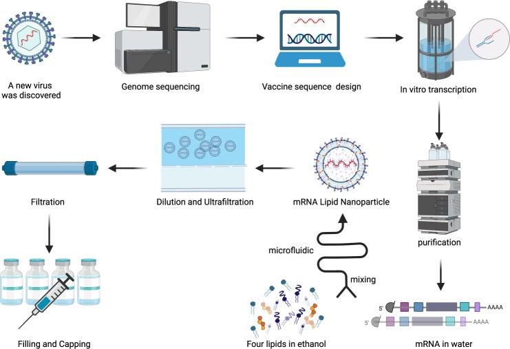 https://cdn.ncbi.nlm.nih.gov/pmc/blobs/2b2d/8943202/ee978ba4f608/41392_2022_950_Fig8_HTML.jpg