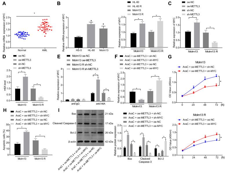 https://cdn.ncbi.nlm.nih.gov/pmc/blobs/2b2d/9235226/6f8a55afdb19/12967_2022_3456_Fig5_HTML.jpg