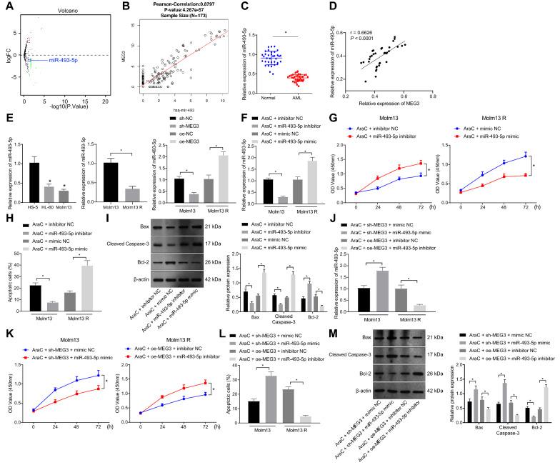 https://cdn.ncbi.nlm.nih.gov/pmc/blobs/2b2d/9235226/b507509050f9/12967_2022_3456_Fig2_HTML.jpg