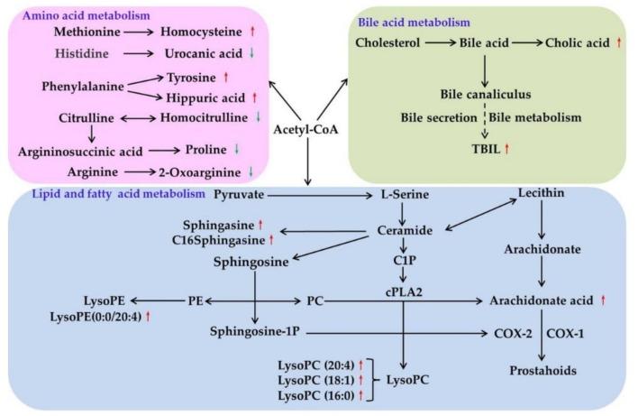 https://cdn.ncbi.nlm.nih.gov/pmc/blobs/2b30/6384998/43d7018cd94b/molecules-24-00511-g010.jpg