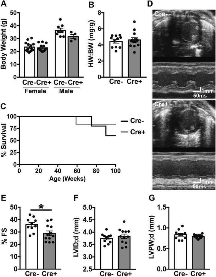 https://cdn.ncbi.nlm.nih.gov/pmc/blobs/2b31/6488756/4c3a297132cf/gr2.jpg