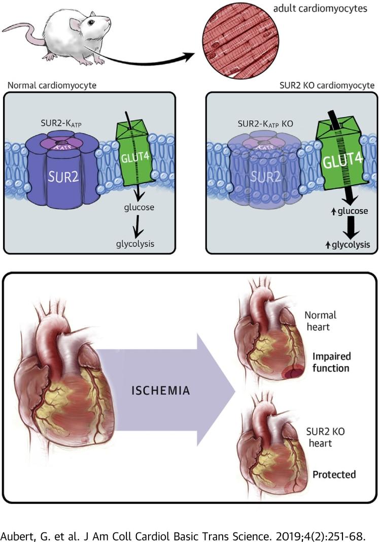 https://cdn.ncbi.nlm.nih.gov/pmc/blobs/2b31/6488756/7463e31e8731/fx1.jpg